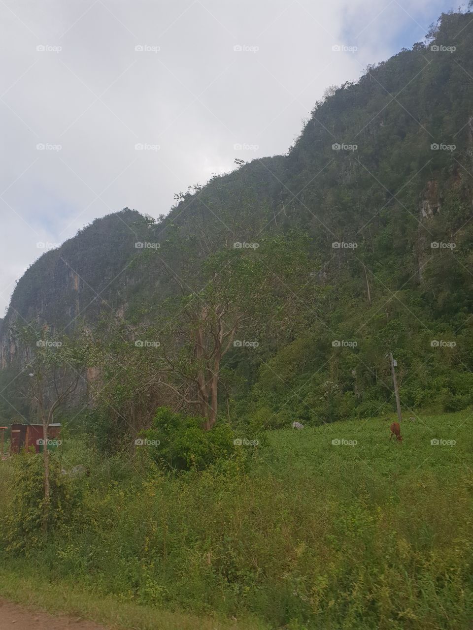 Viñales