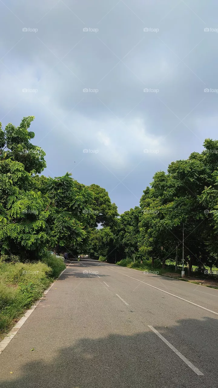A straight road in forest