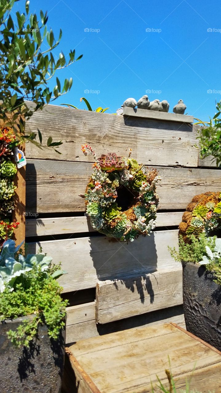 wreath of succulents