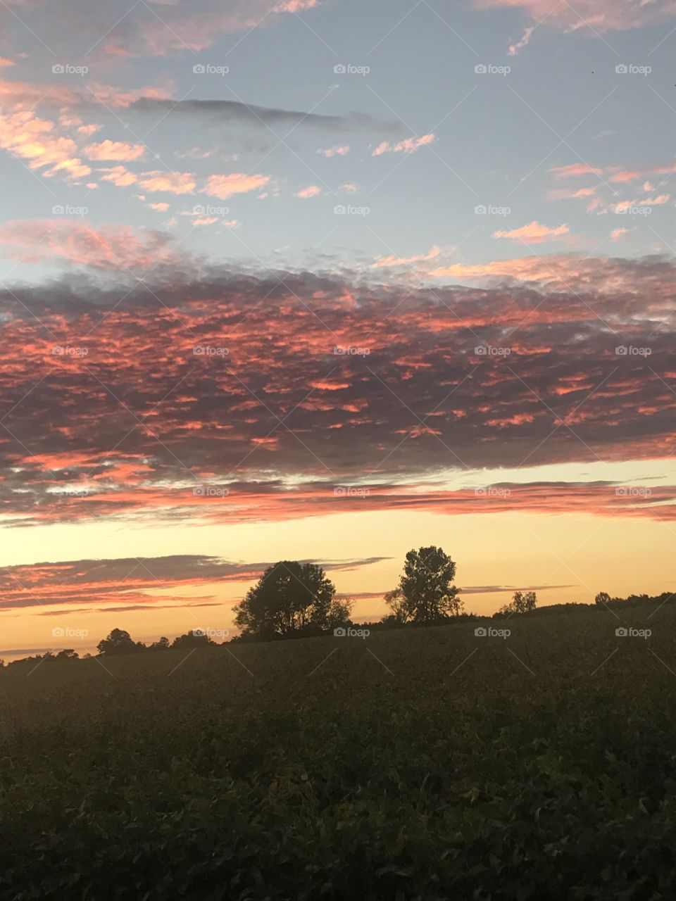 The Bluegrass sunsets or orange, pinks and yellows make driving home much more beautiful 
