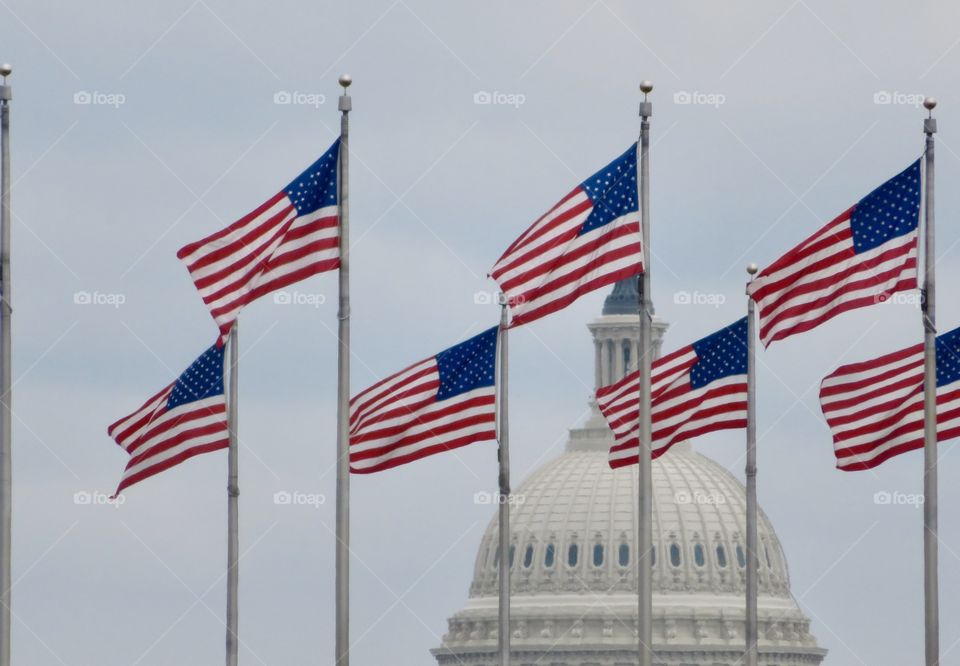 Capitol and Flags