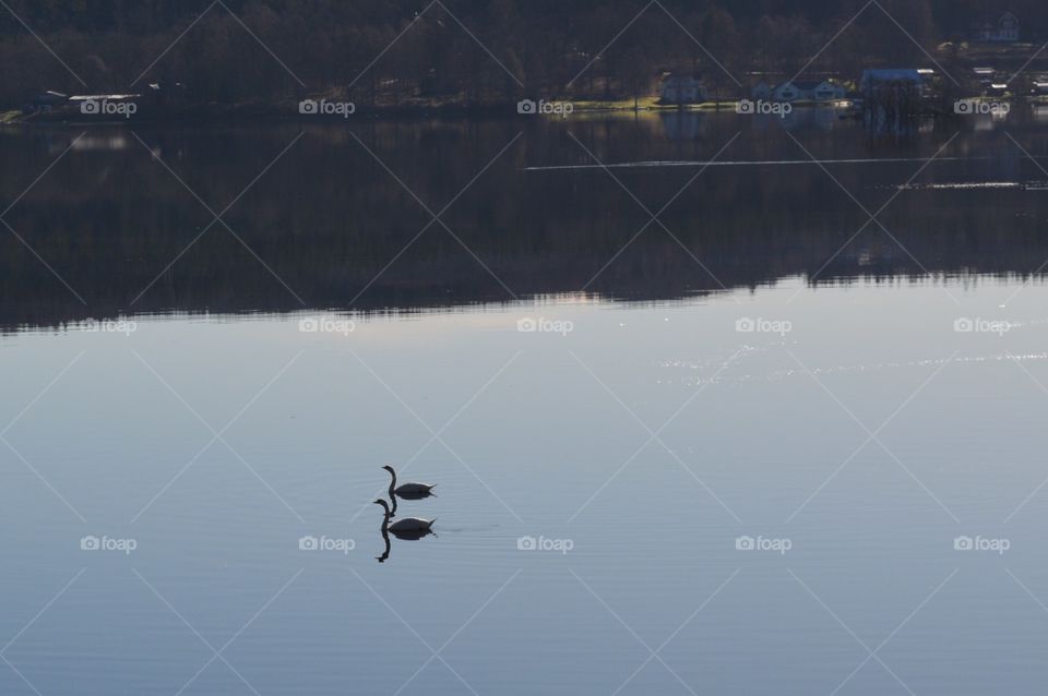 couple on the lake