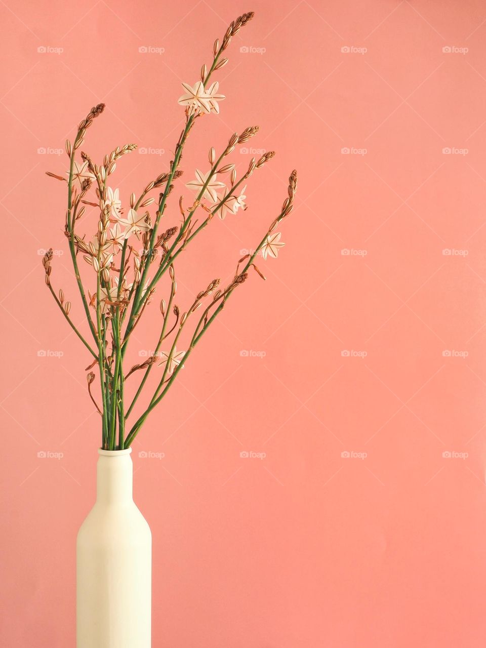 Whote vase and flowers