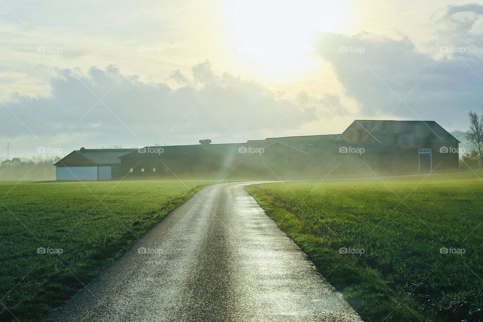 Road trip in the morning to the countryside 