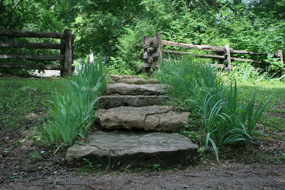 Steps and fence outdoors