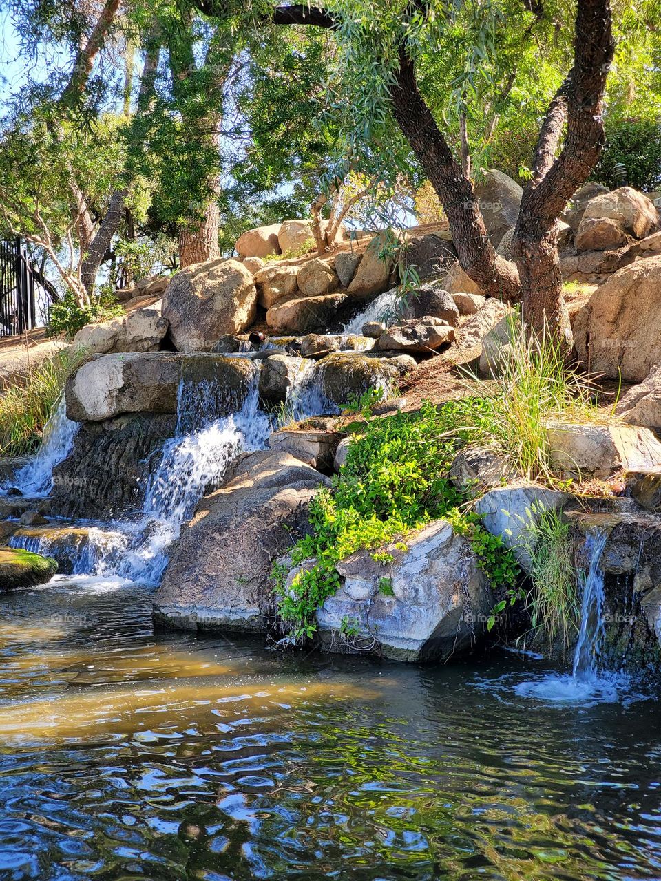 Tree by a  Beautiful Waterfall