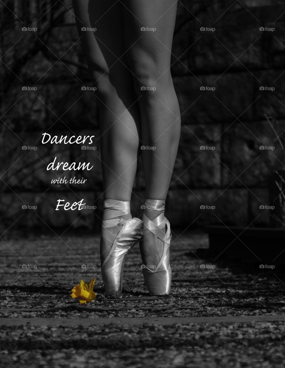 Dancer photo / poster 