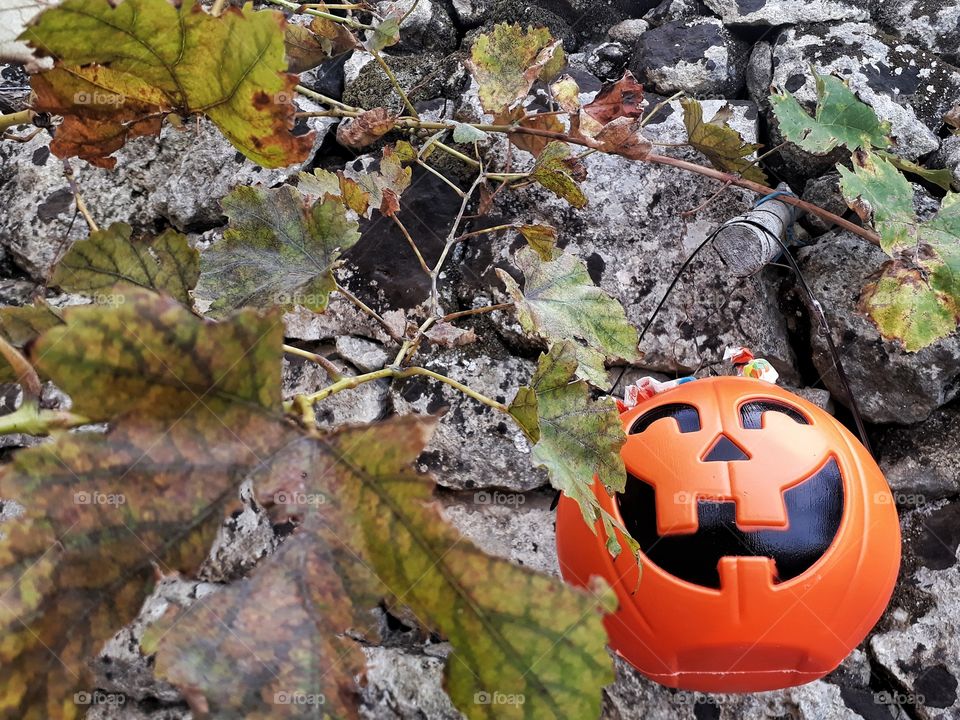 Trick or treat in the fall nature