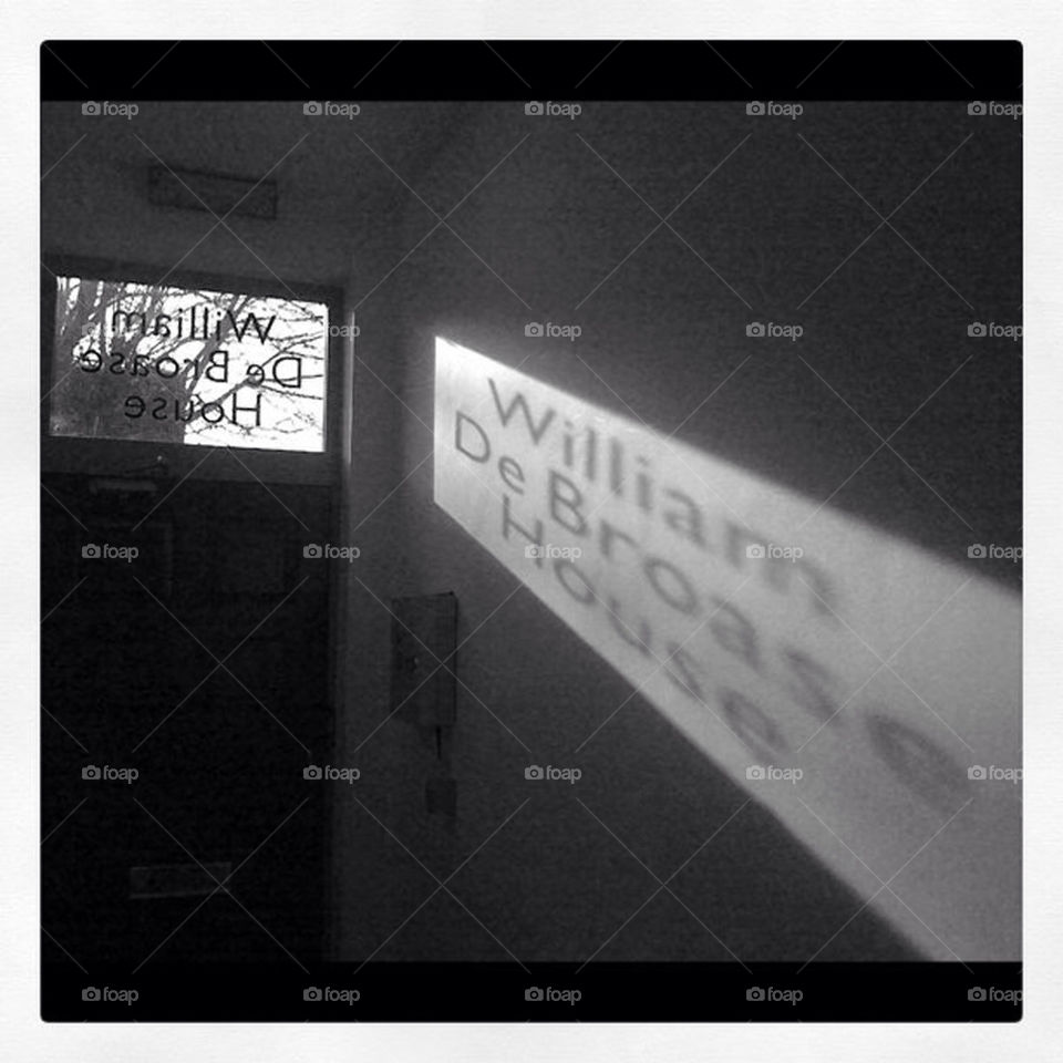 Sunlight Casting Shadows