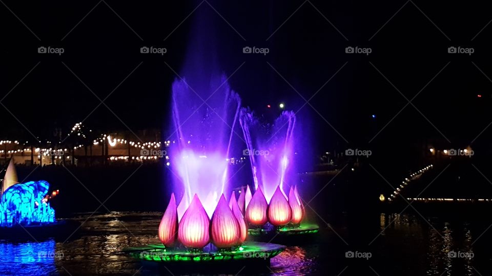 Bright flowers send water soaring into the air over the Discovery River during Rivers of Light at Animal Kingdom at the Walt Disney World Resort in Orlando, Florida.