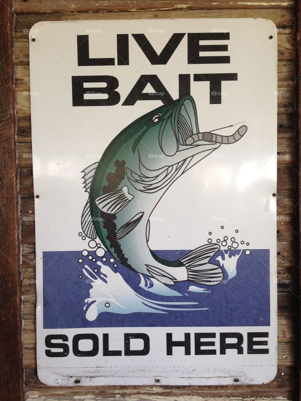 Fish bait sign