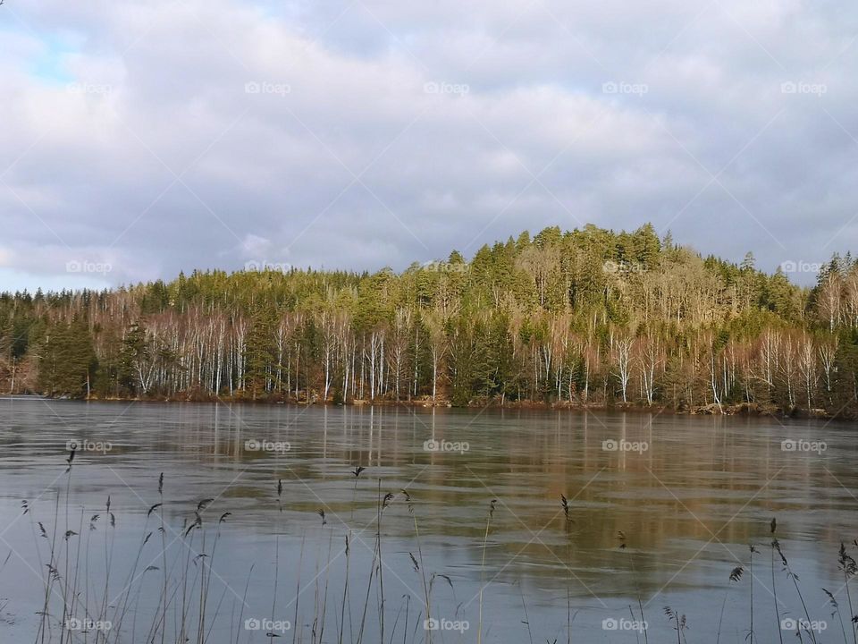 Nature in Sweden is very beautiful.  There are so many places to explore and enjoy, many lakes, forests and beautiful landscapes