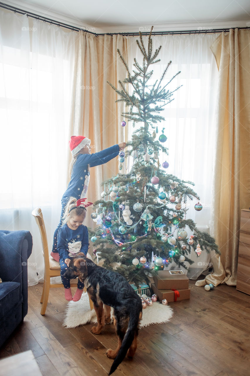 Little sisters with German shepherd puppy near Christmas tree 