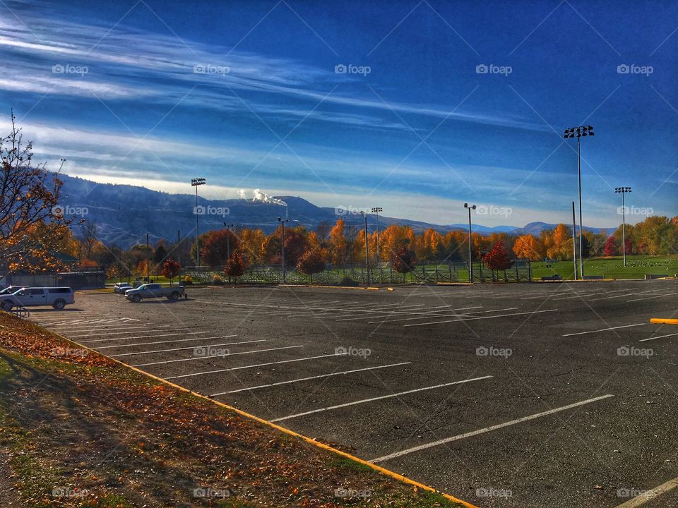 Beautiful fall colours 