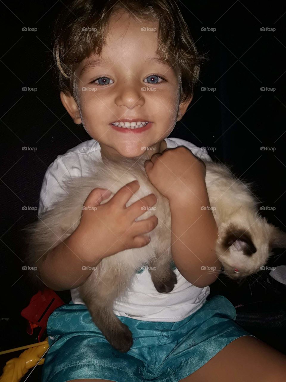 child playing with the kitten