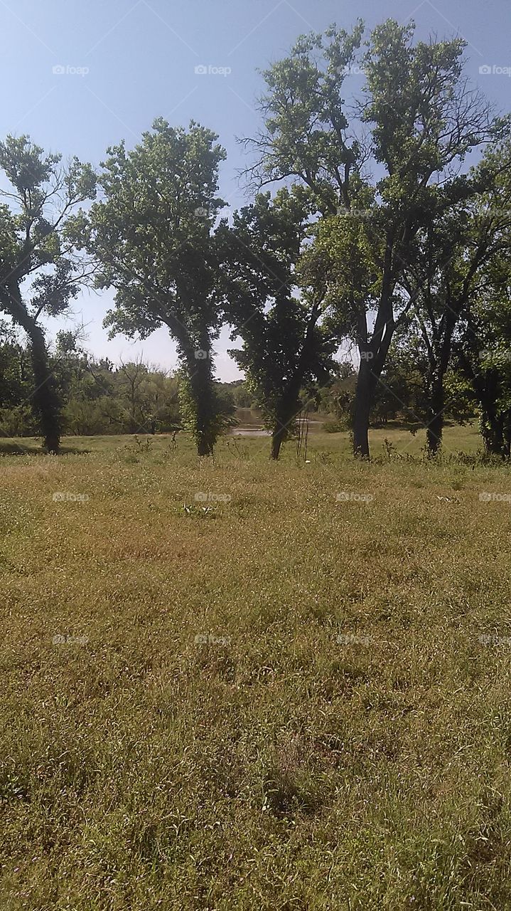 brazos river. this picture is south of graham texas
