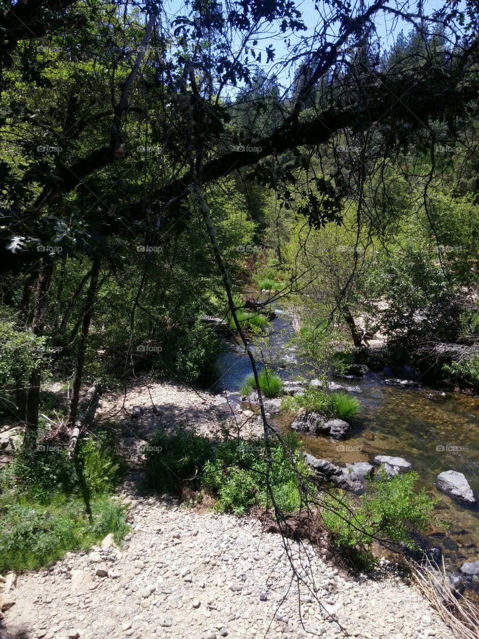 Creekside View