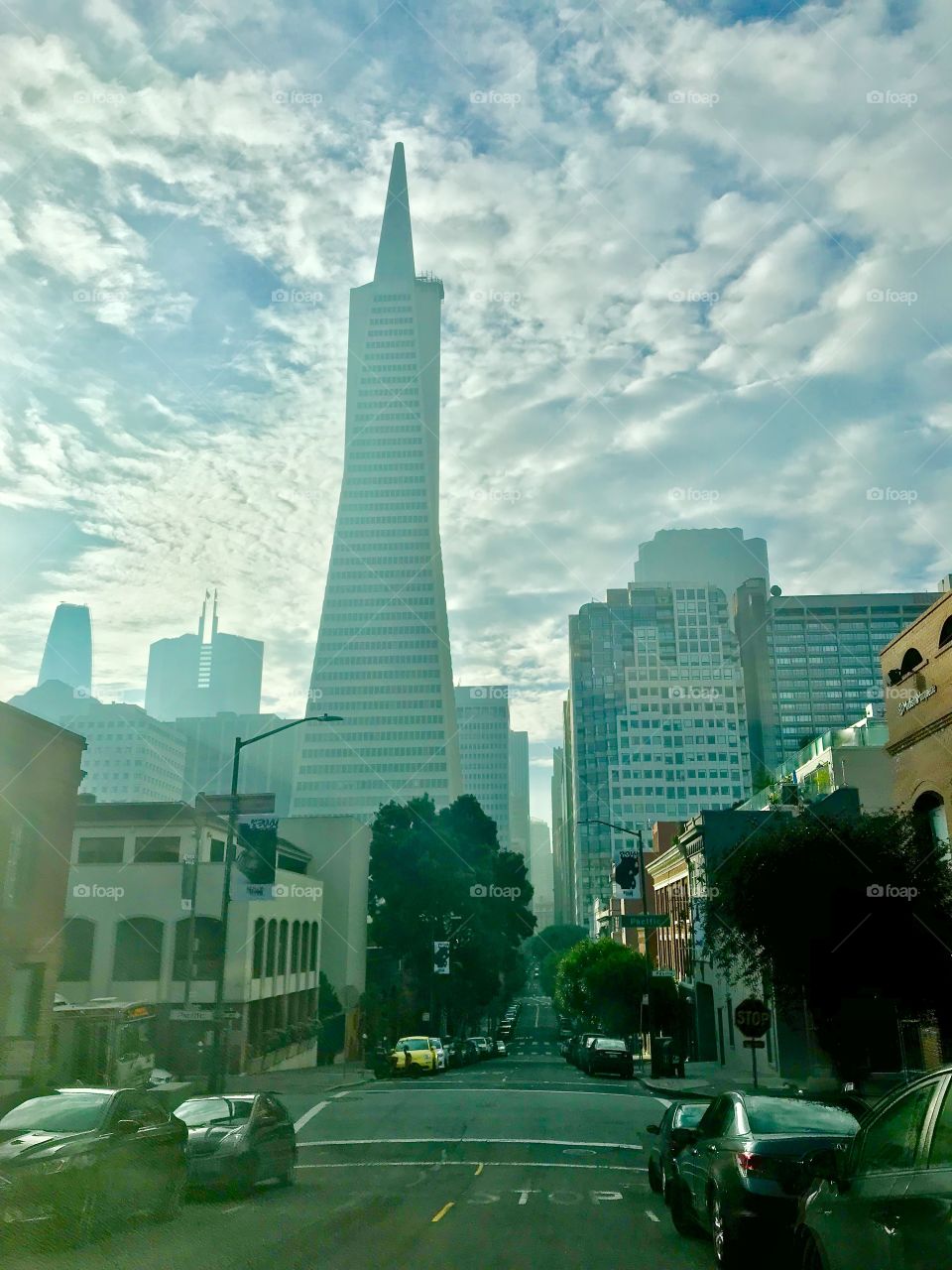 San Francisco Trans America Piramid CA