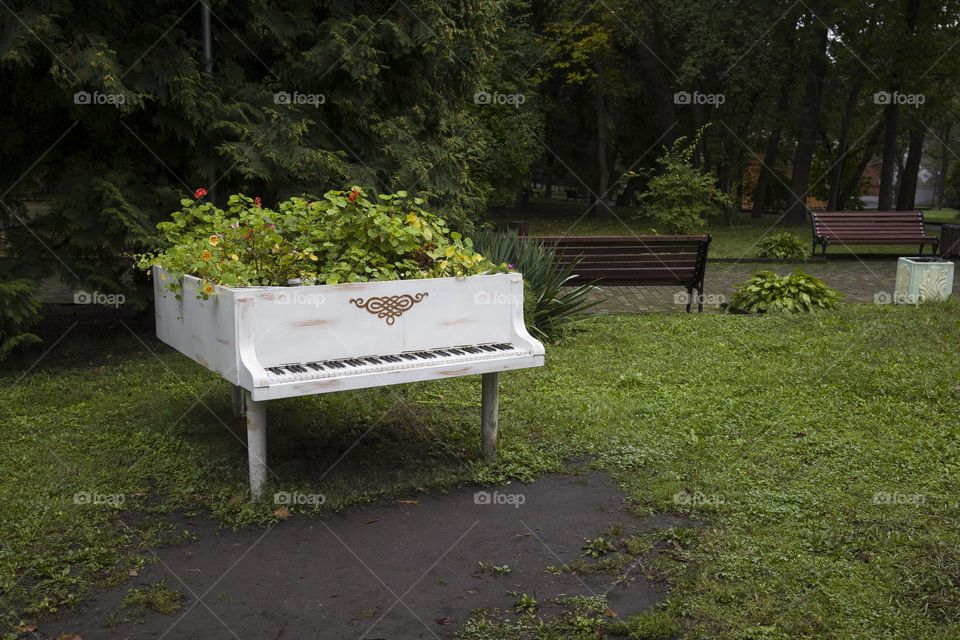 Old white piano converted into flowerbed .  Art installation . Garden and park decor concept .