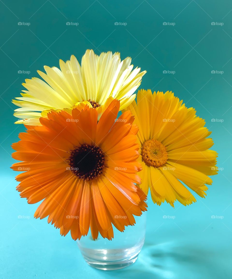 Yellow/Orange flowers in a small glass jar against turquoise background 