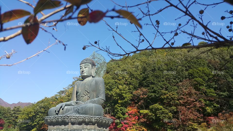 Bronze Buddha "Tongil Daebul" at Sinheungsa Temple, South Korea