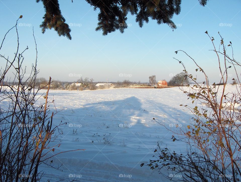 Snow landscape 