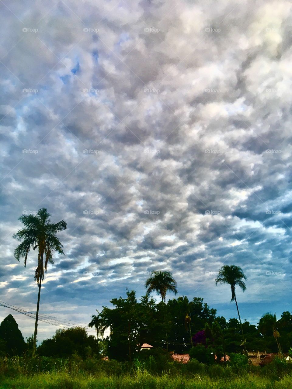 🌅Desperte, #Jundiaí. E me diga: esse #céu não terá #sol?
Que a #QuintaFeira possa valer a pena!
🍃🙌🏻
#sun #sky #photo #nature #morning #alvorada #natureza #horizonte #fotografia #pictureoftheday #paisagem #inspiração #amanhecer #mobgraphy #mobgrafia