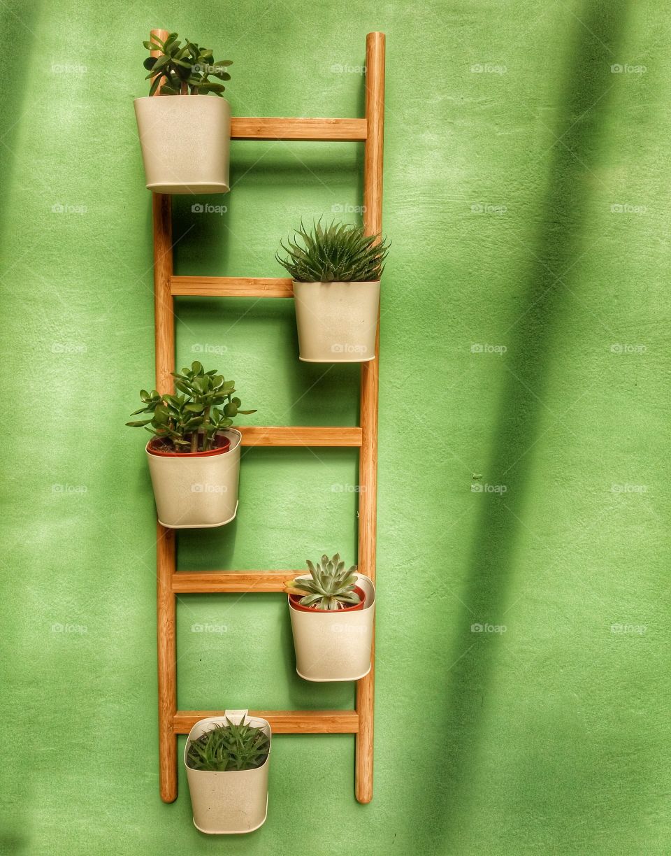 Lovely decoration with flora!