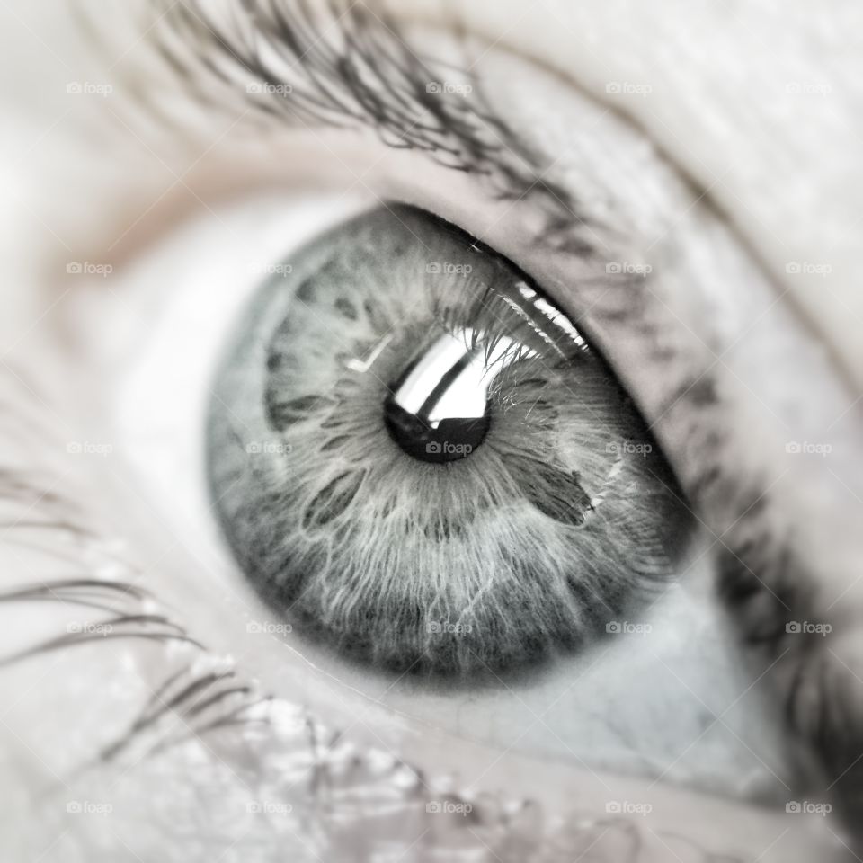 Eye