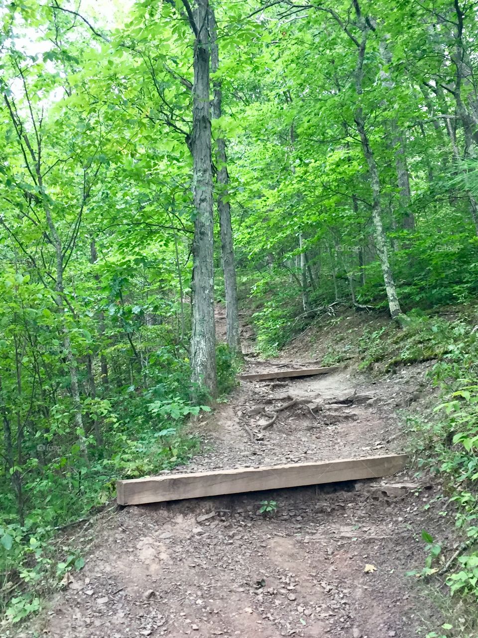 Hiking trail
Pennsylvania 