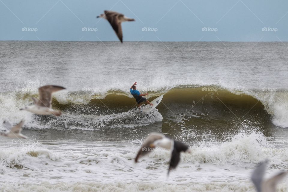 Seagulls fly through a shot