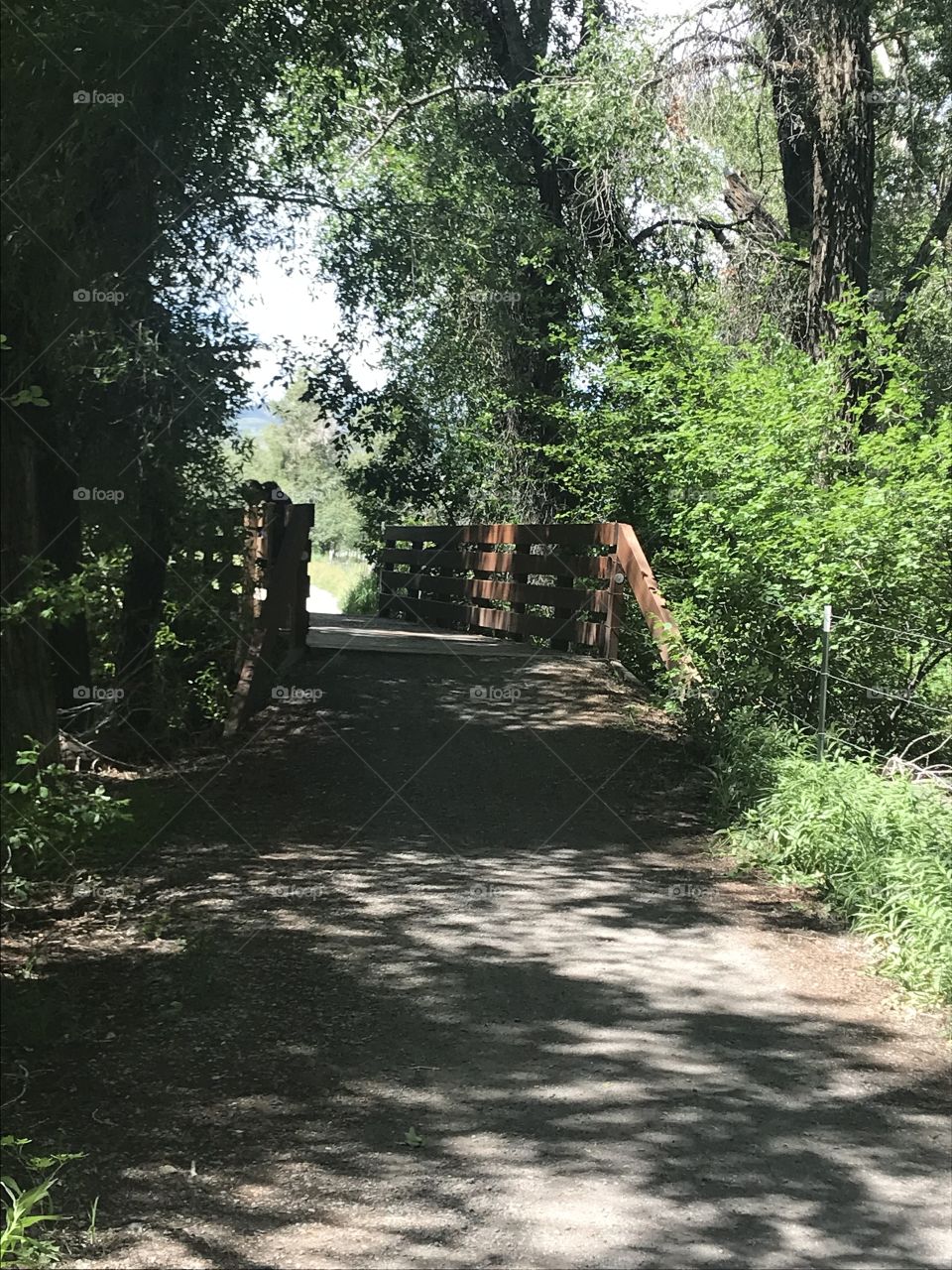 Bridge in the mountains 