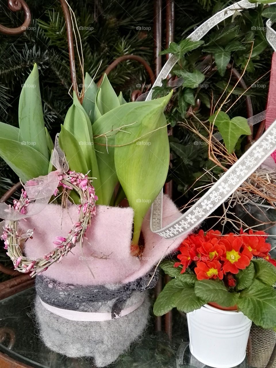 flower in pot