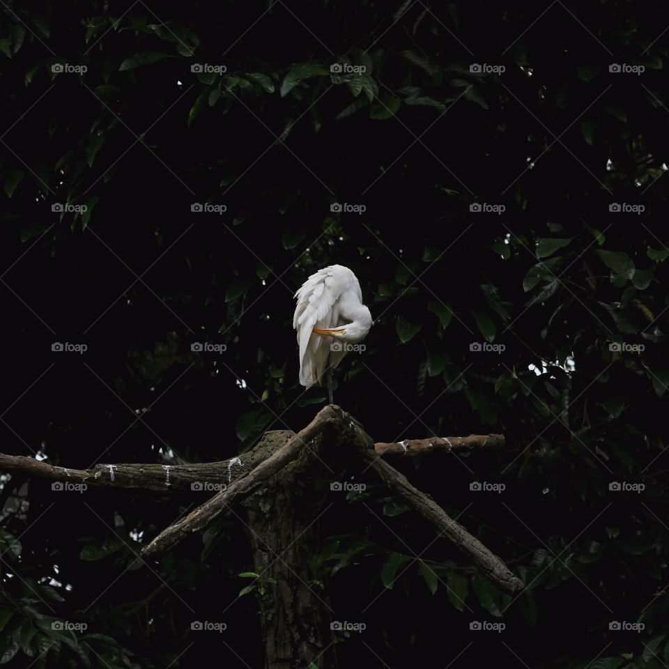 Self-care under the trees.