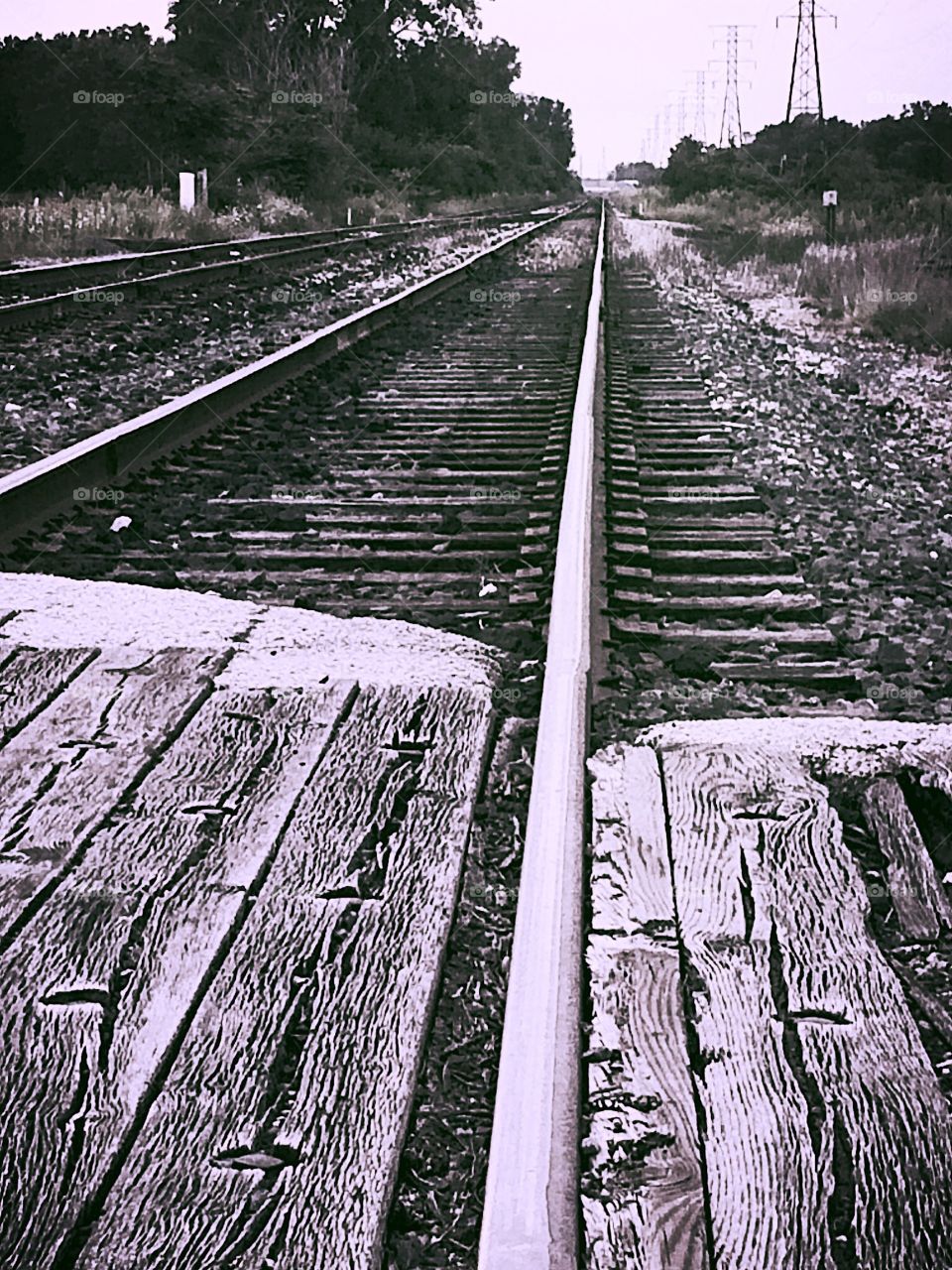 Railroad tracks 