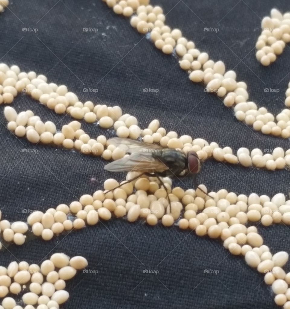 Heavy seed beads