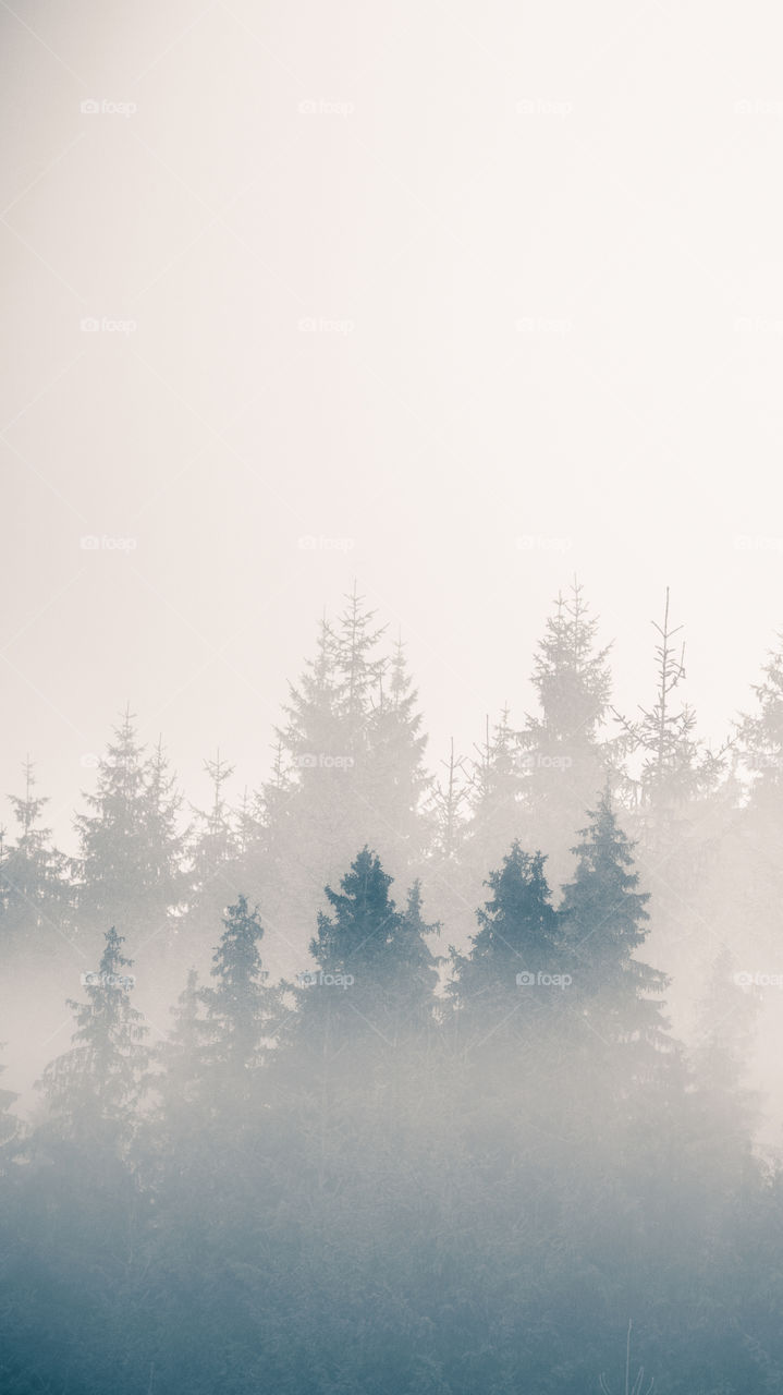 An inspiring mountain landscape. Tatry mountains in Slovakia. A beautiful wallpaper for smartphone screen. Monochrome blue abstract gradient with perspective.