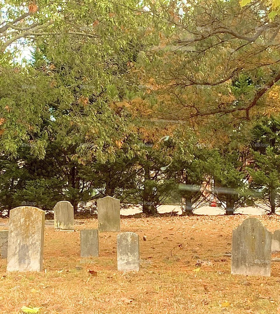 Old graveyard 