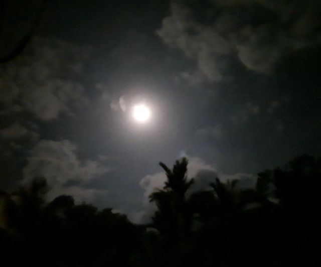 The moon
