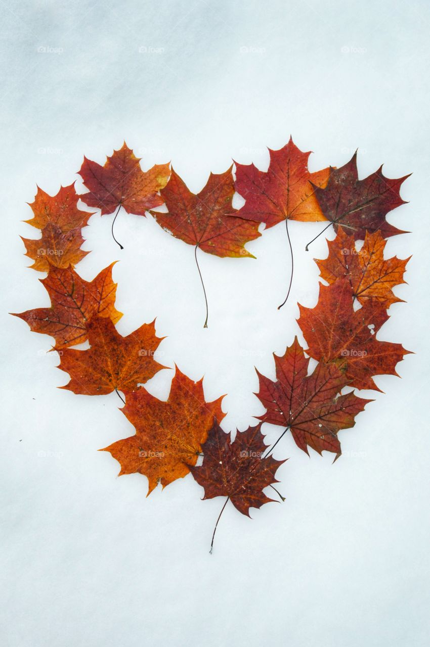 Heart shape made with maple leaves