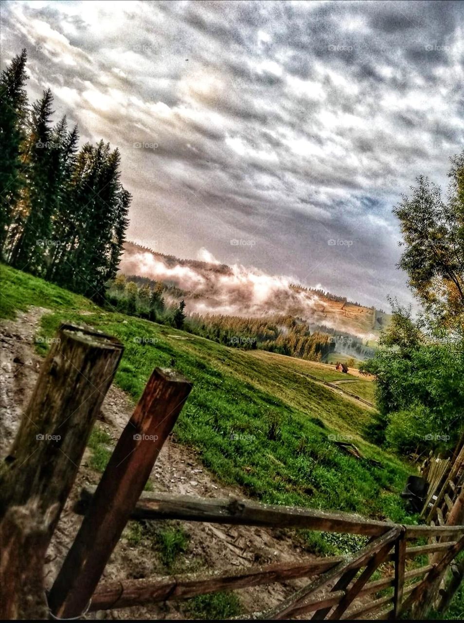 The portrait of Nature