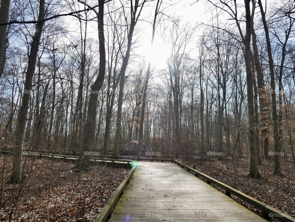 A Monday morning walk at a city park. It’s a mild day, and Spring has yet to make an appearance. But we can pretend! 