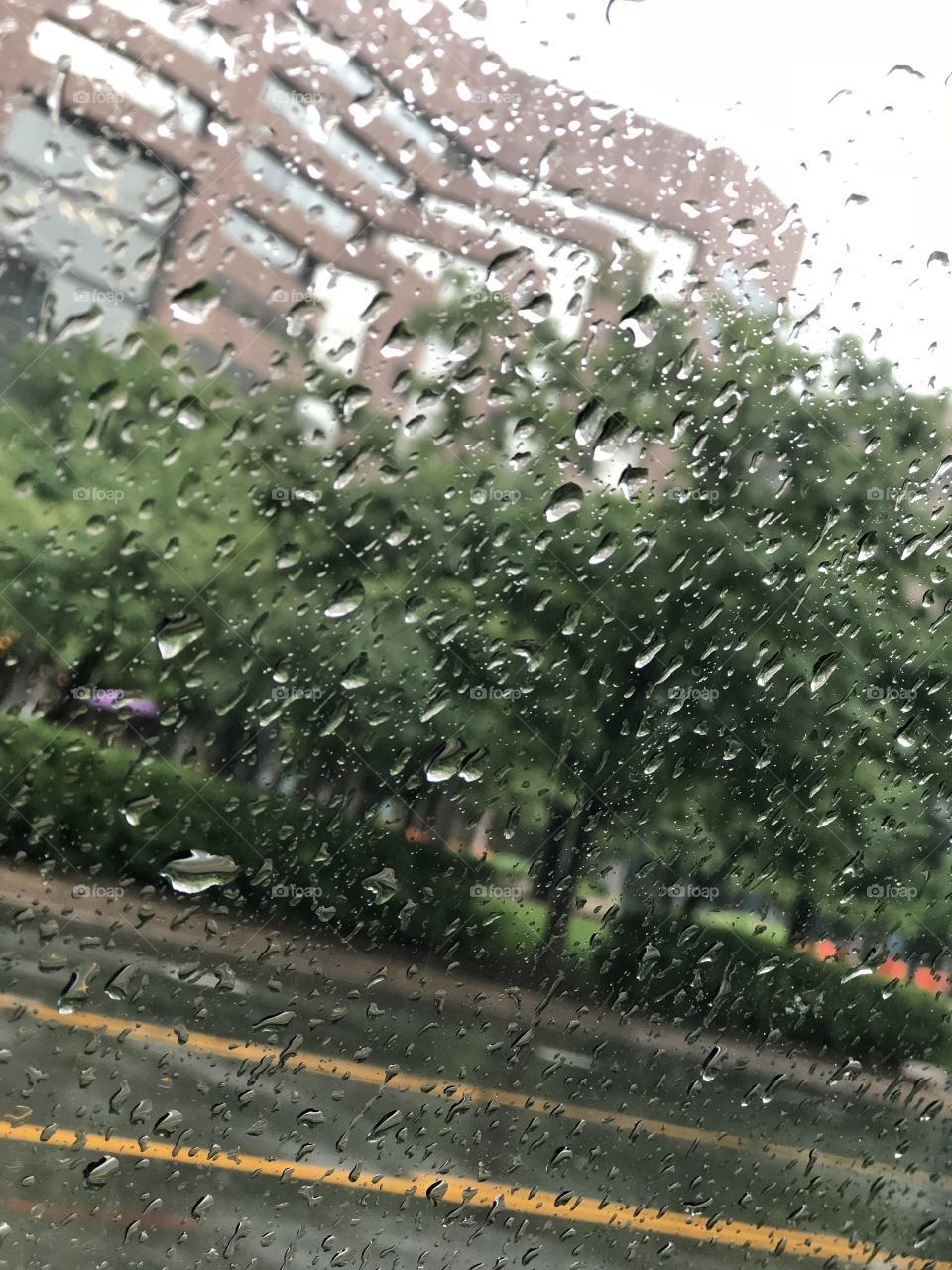 Just driving around, taking a beautiful picture of the rain
