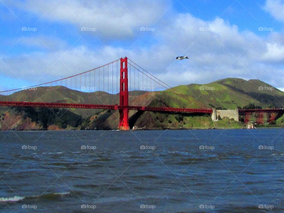 Golden Gate Bridge bird's eye view