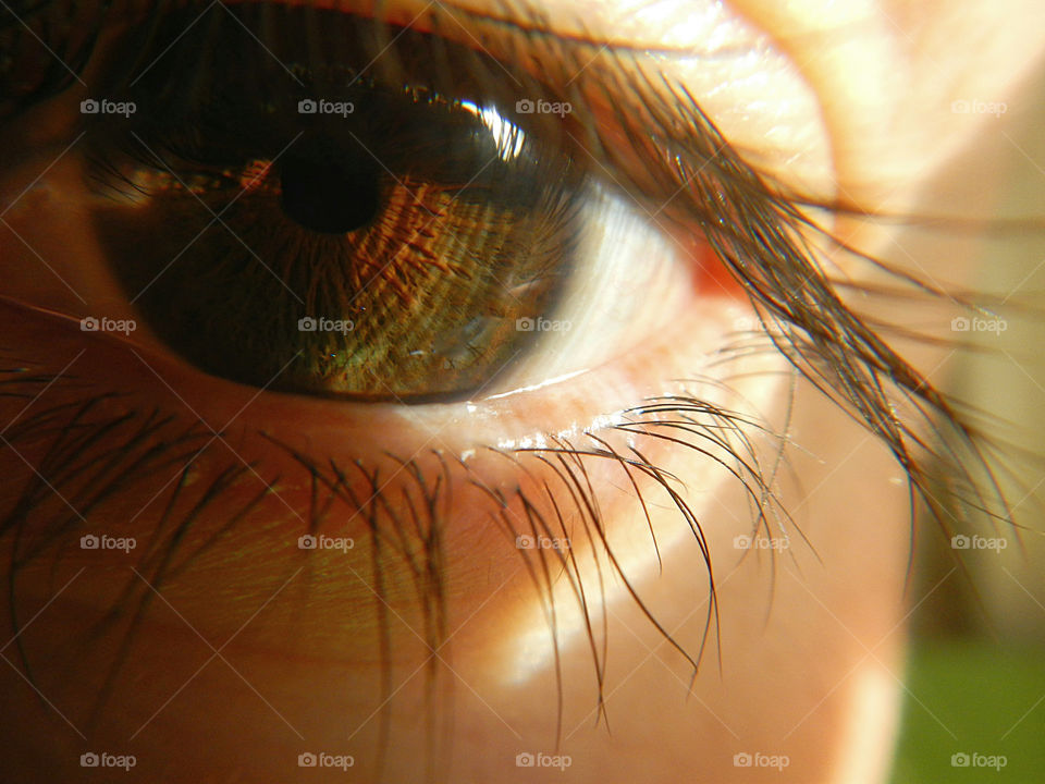 close-up of human eye with details of light brown iris