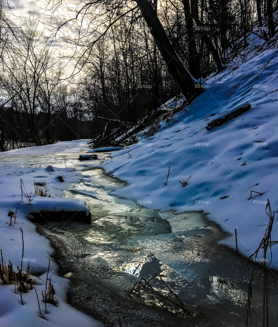 Frozen Stream - Reflection