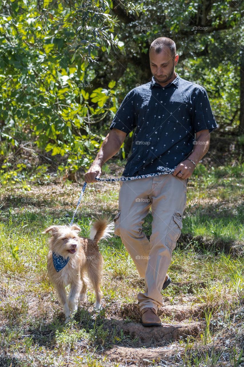 A man walks his dog on the lead along a woodland trail