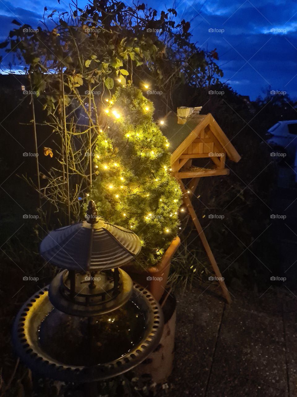 Elements of Dezember