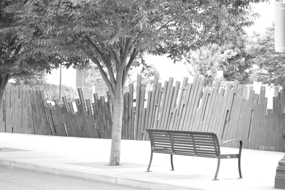 Urban park in black and white 