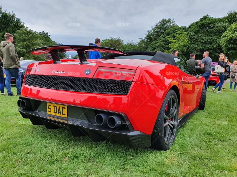 gallardo